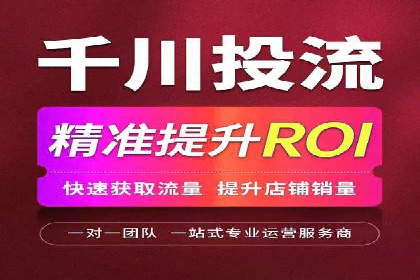 谷歌SEM实战案例：利用广告系列优化效果